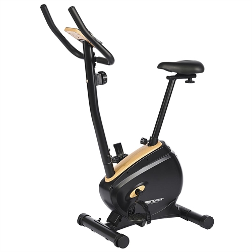 Top Sport Delta Motionscykel