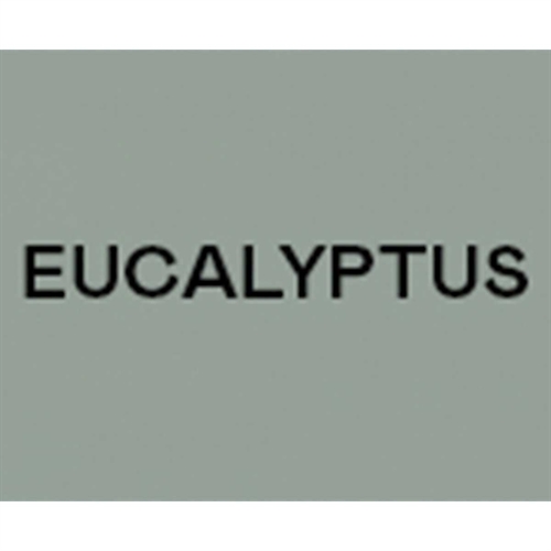 Farven på Kettler HOI Speed Spinningcykel - (Eucalyptus)